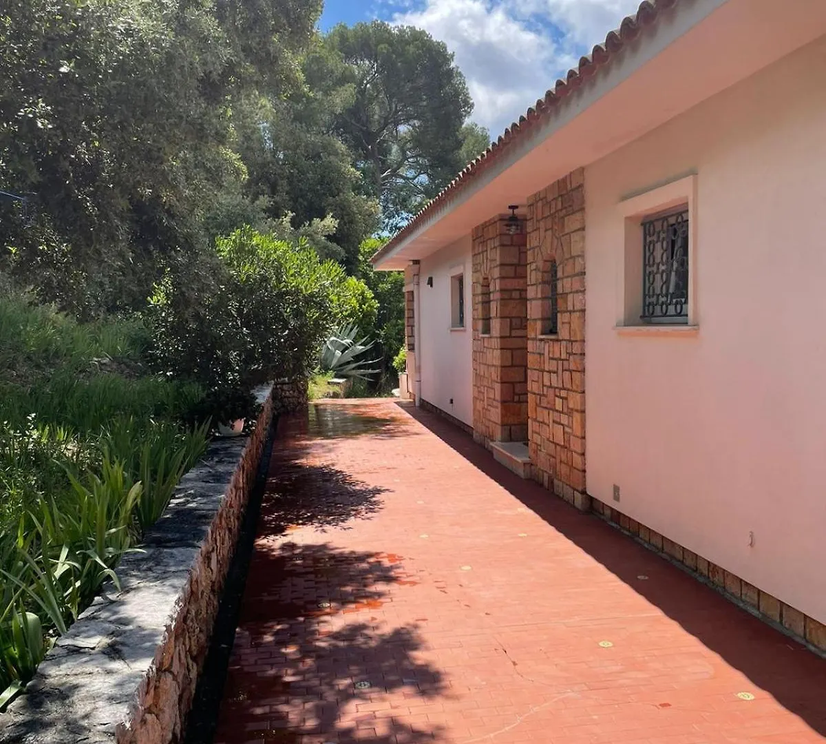 Villa Brise Des Pins Le Cannet